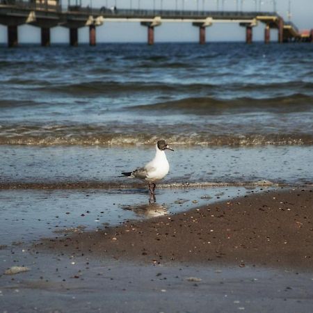 Apartament Playa Baltis 10 Miedzyzdroje Kültér fotó